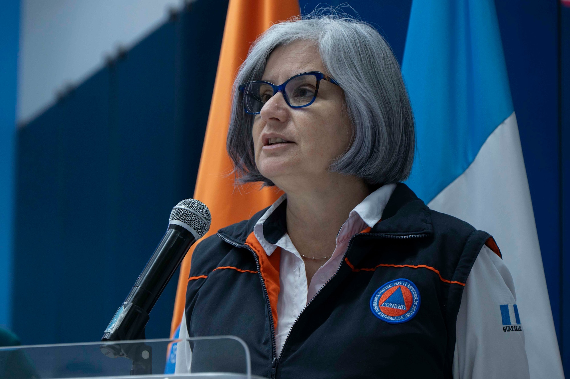 A photo of a person speaking into a microphone.