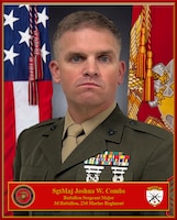 Command Senior Enlisted Leader
3d Battalion, 23d Marine Regiment