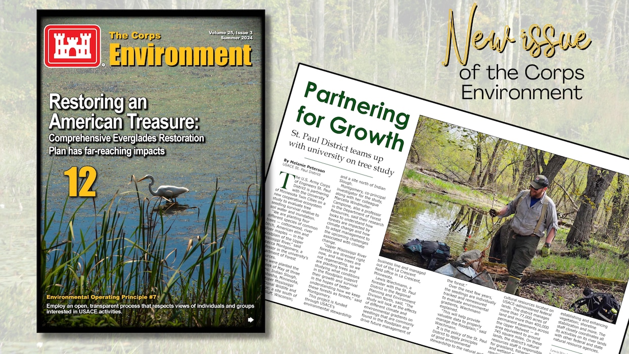 Graphic with the cover of The Corps Environment on it along with a snippet of an article. Text reads "New issue of the Corps Environment". There is a wetland image in the background.