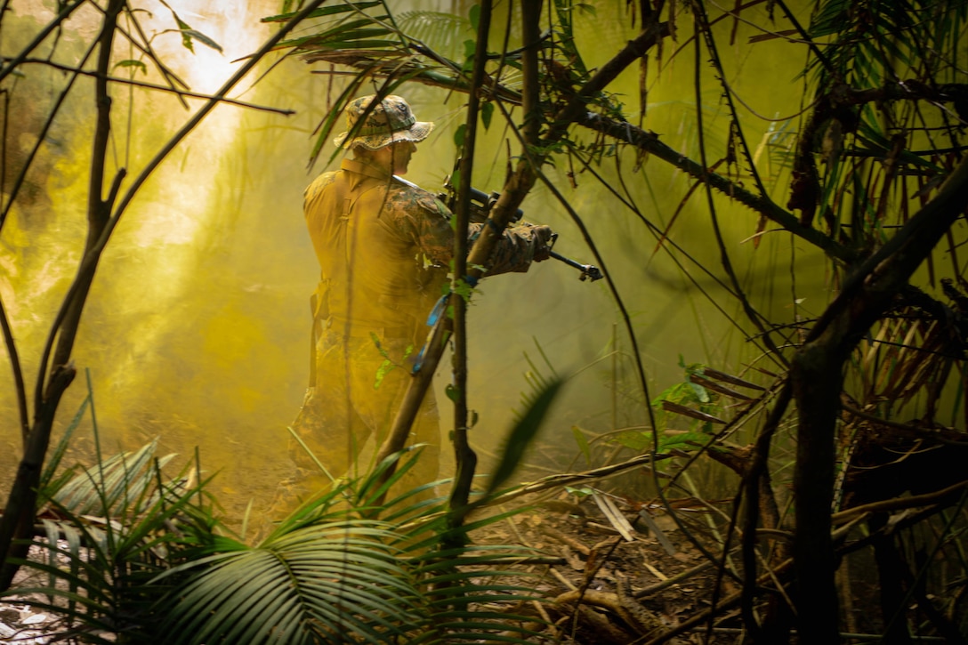 Sun rays shine through a forest as a Marine aims a weapon while searching through trees.