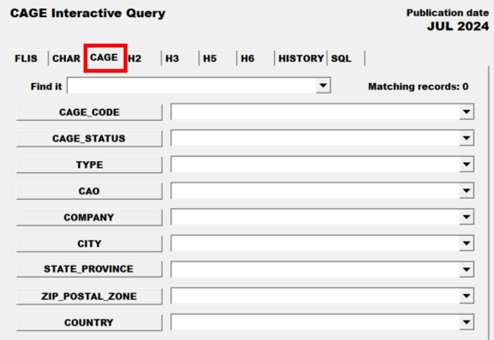 Pub Log FLIS screenshot of CAGE Interactive Query tab able to search for a specific National Stock Number item.