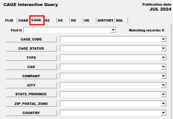 Pub Log FLIS screenshot of CAGE Interactive Query tab able to search for a specific National Stock Number item.