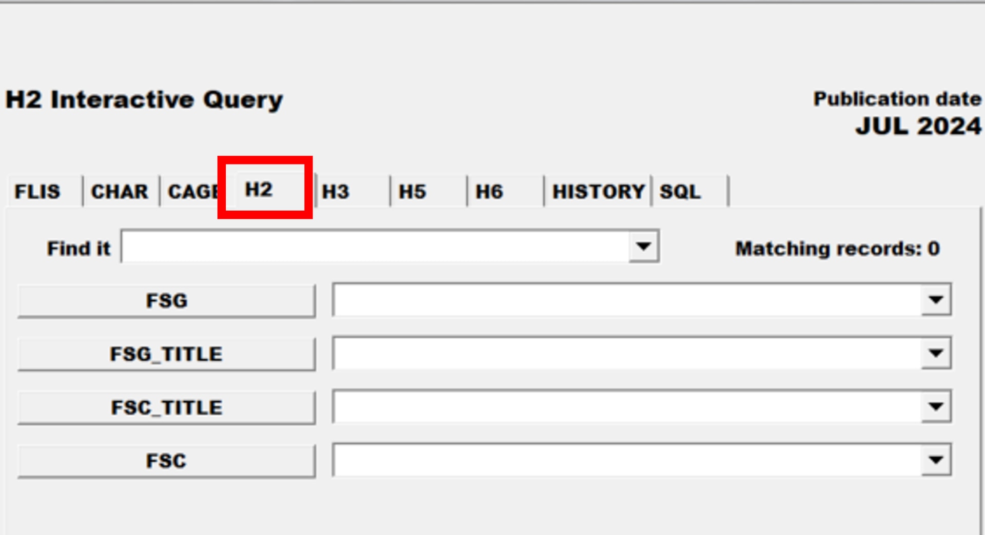 Pub Log FLIS screenshot of H2 Interactive Query tab able to search for a specific National Stock Number item.
