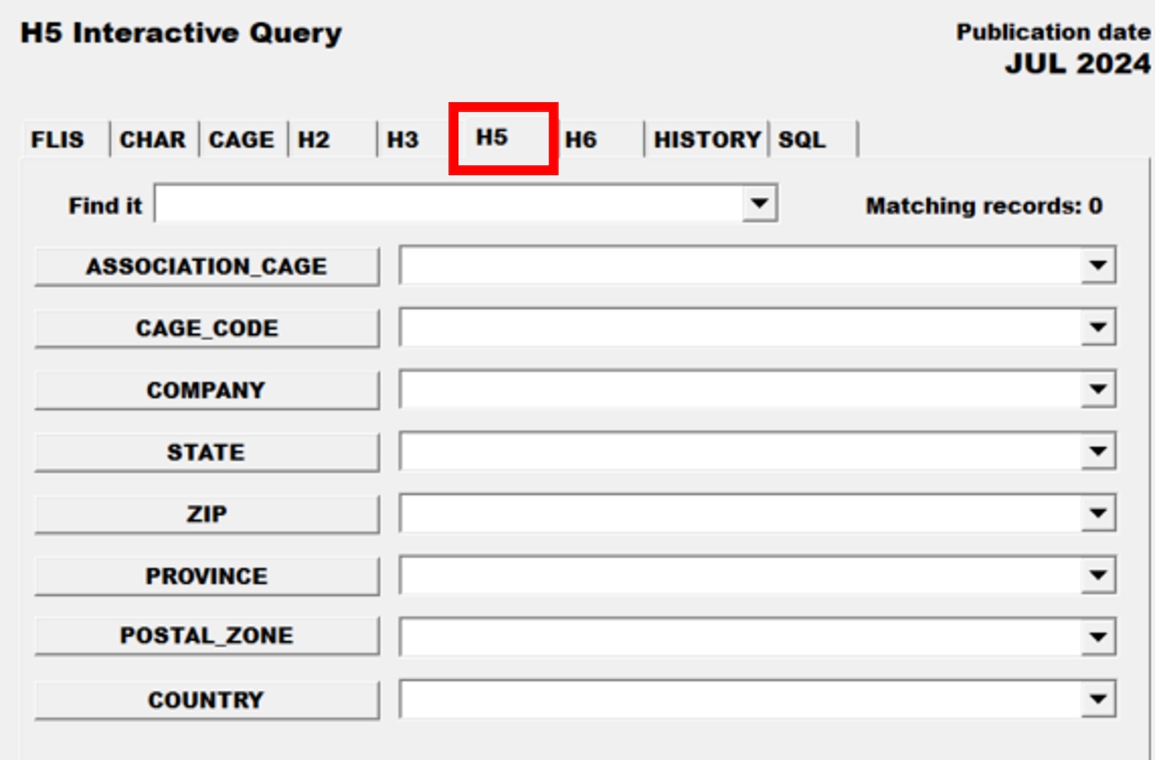 Pub Log FLIS screenshot of H5 Interactive Query tab able to search for a specific National Stock Number item.