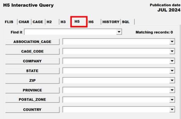 Pub Log FLIS screenshot of H5 Interactive Query tab able to search for a specific National Stock Number item.