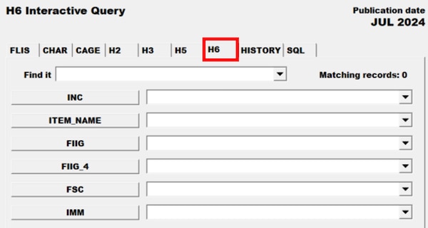 Pub Log FLIS screenshot of H6 Interactive Query tab able to search for a specific National Stock Number item.