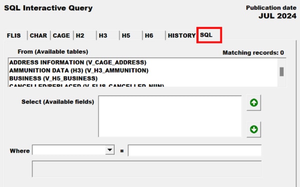 Pub Log FLIS screenshot of SQL Interactive Query tab able to search for a specific National Stock Number item.