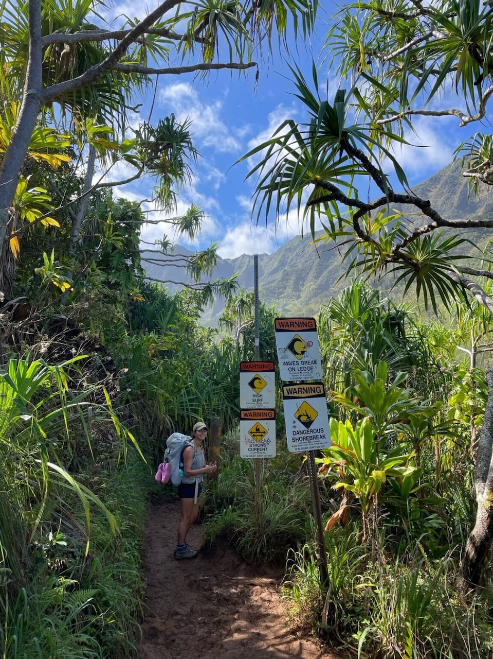 A person with a backpacking pack hikes on a path in a jungle during the day.