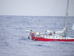 A small boat crew assigned to the Arleigh Bruke-class guided-missile destroyer USS William P. Lawrence (DDG 110) approaches the French-flagged sailing vessel Albroc during rescue operations in the Pacific Ocean, Aug. 26, 2024. The U.S. Navy and U.S. Coast Guard completed the rescue of a distressed woman, child and their pets from a sailboat beset by weather 925 miles offshore Honolulu. (U.S. Navy photo by Chief Warrant Officer 2 Lance Watson)