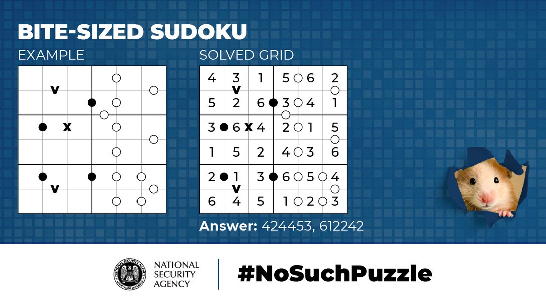 No Such Puzzle: Bite-Sized Sudoku Example Graphic