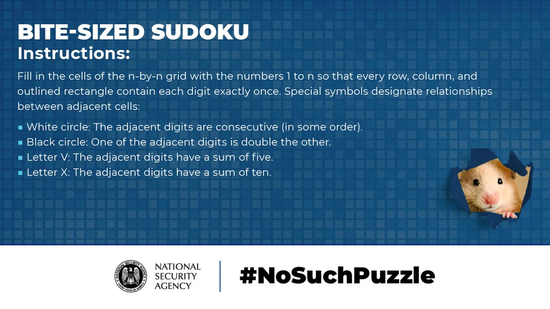 No Such Puzzle: Bite-Sized Sudoku Instructions Graphic