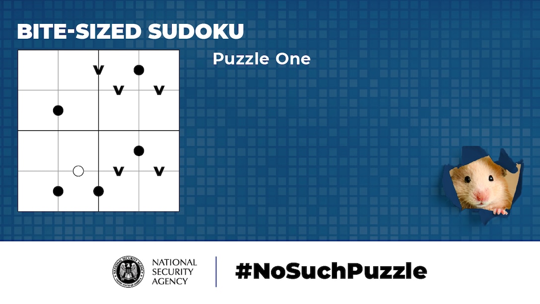 No Such Puzzle: Bite-Sized Sudoku Puzzle One Graphic