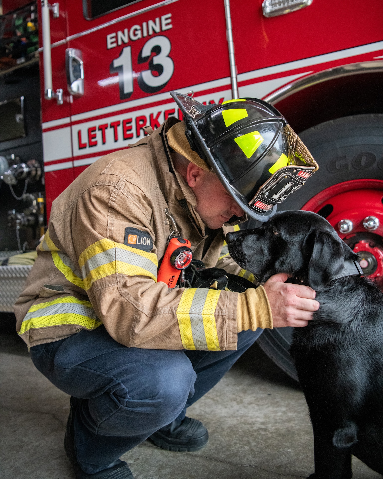 Dog with firefighters