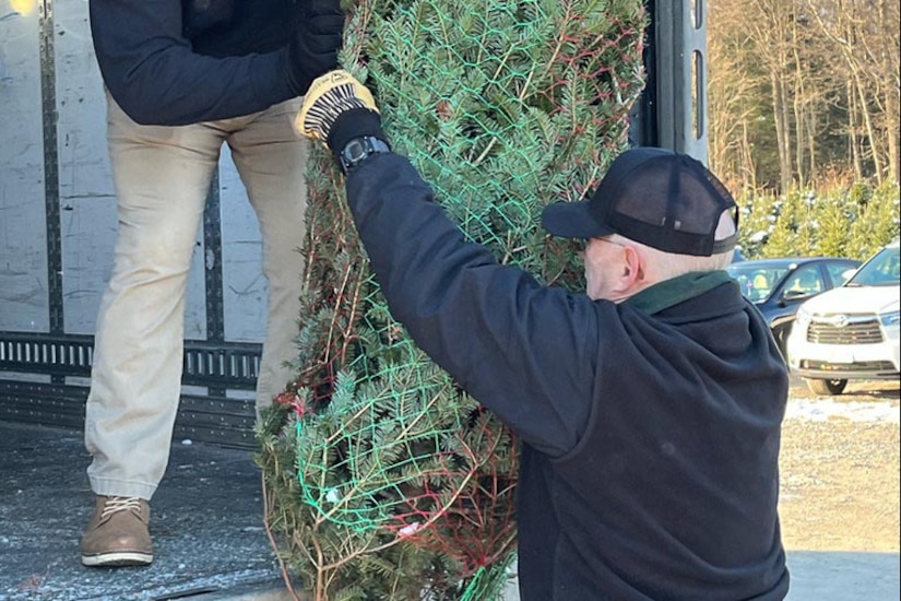 Two people load a tree into a truck.