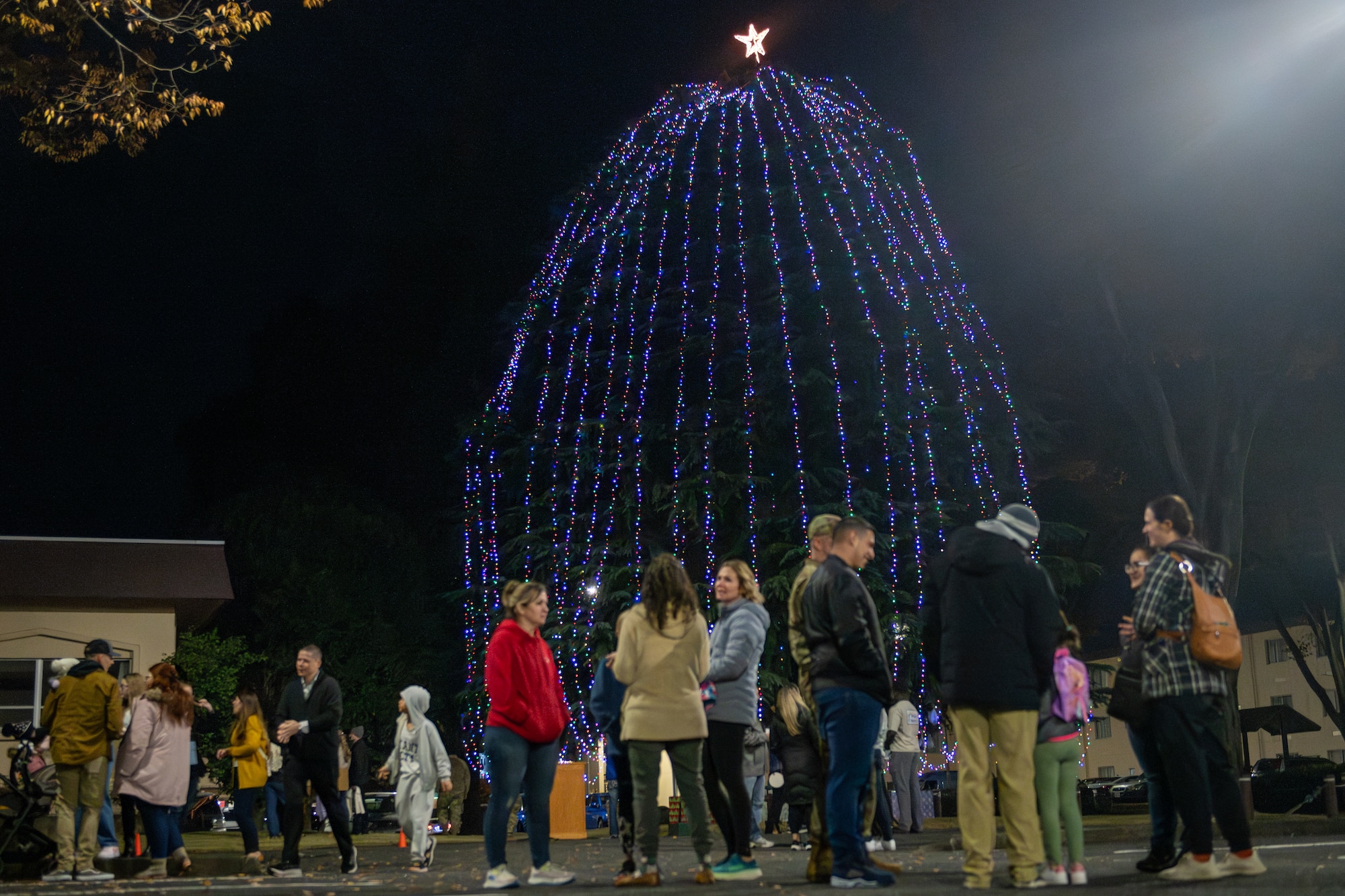 Attendees gather around a tree illuminated by Christmas lights