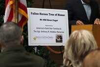 A banner remembering Army Sgt. Anthony R. Maddox, 22, of Bloomington, is placed on display during the America’s Gold Star Families Annual Tree Lighting Ceremony Nov. 29 at the Decatur Civic Center in Decatur, Illinois.