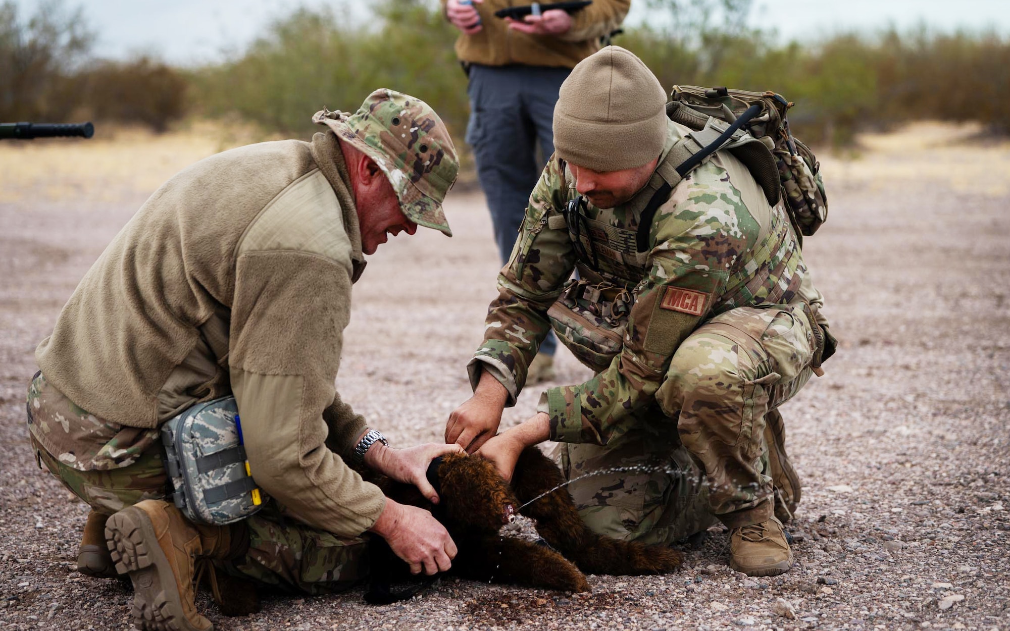 944th Fighter Wing U.S. Air Force Reserve Citizen Airmen and Arizona Army National Guard Soldiers simulate treating a fake critically injured working dog during Exercise Desert Hammer 25-1 at Auxiliary Field 6 near Gila Bend, Ariz., Nov. 16, 2024. This large-scale exercise showcases the adaptability of Mission Ready Airmen, advancing the skills needed to thrive in the rapidly evolving challenges of global competition. (U.S. Air Force photo by Senior Airman Jacob Dastas)