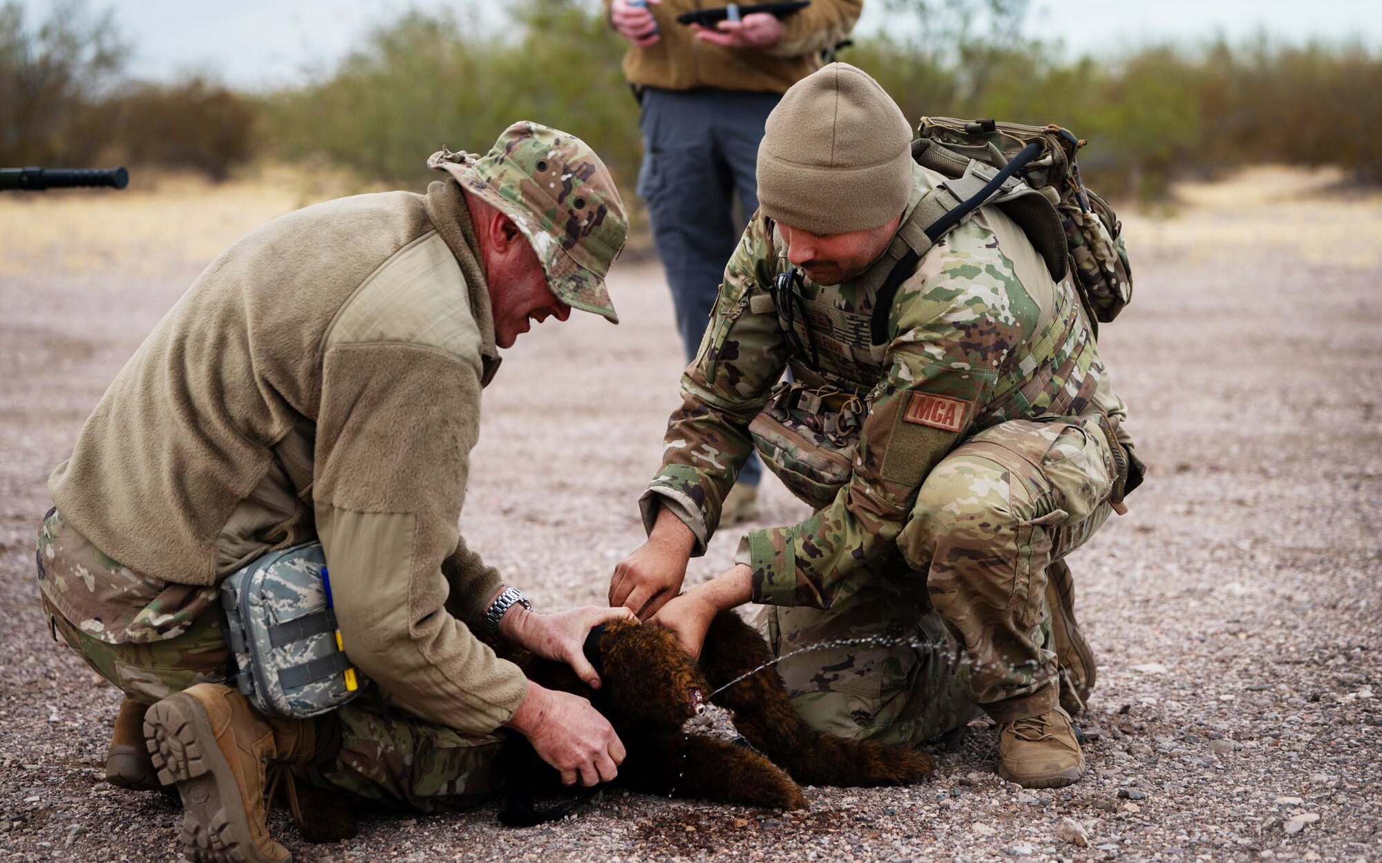 944th Fighter Wing U.S. Air Force Reserve Citizen Airmen and Arizona Army National Guard Soldiers simulate treating a fake critically injured working dog during Exercise Desert Hammer 25-1 at Auxiliary Field 6 near Gila Bend, Ariz., Nov. 16, 2024. This large-scale exercise showcases the adaptability of Mission Ready Airmen, advancing the skills needed to thrive in the rapidly evolving challenges of global competition. (U.S. Air Force photo by Senior Airman Jacob Dastas)