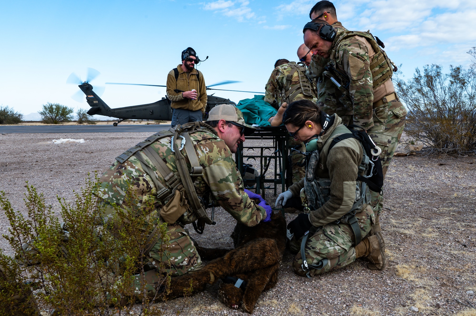 944th Fighter Wing U.S. Air Force Reserve Citizen Airmen and Arizona Army National Guard Soldiers simulate treating a fake critically injured working dog during Exercise Desert Hammer 25-1 at Auxiliary Field 6 near Gila Bend, Ariz., Nov. 16, 2024. This large-scale exercise showcases the adaptability of Mission Ready Airmen, advancing the skills needed to thrive in the rapidly evolving challenges of global competition. (U.S. Air Force photo by Senior Airman Alexis Orozco)