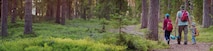 Background image of a man and his two sons walking in the woods