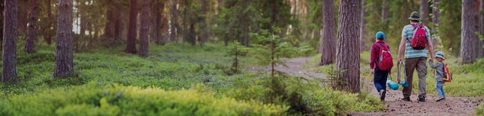 Background image of a man and his two sons walking in the woods