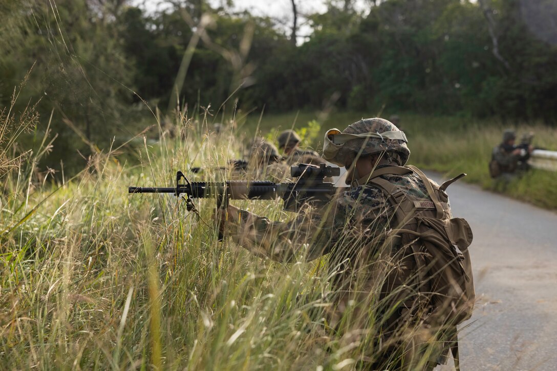 U.S. Marines with Combat Logistics Battalion 31, 31st Marine Expeditionary Unit, conduct a patrolling exercise during a CLB-31 field exercise at Camp Hansen, Okinawa, Japan, Nov. 6, 2024. Marines patrol the surrounding area to sustain and improve their skills. The 31st MEU, the Marine Corps’ only continuously forward-deployed MEU, provides a flexible and lethal force ready to perform a wide range of military operations as the premiere crisis response force in the Indo-Pacific region. (U.S. Marine Corps photo by Cpl. Alora J. Finigan)
