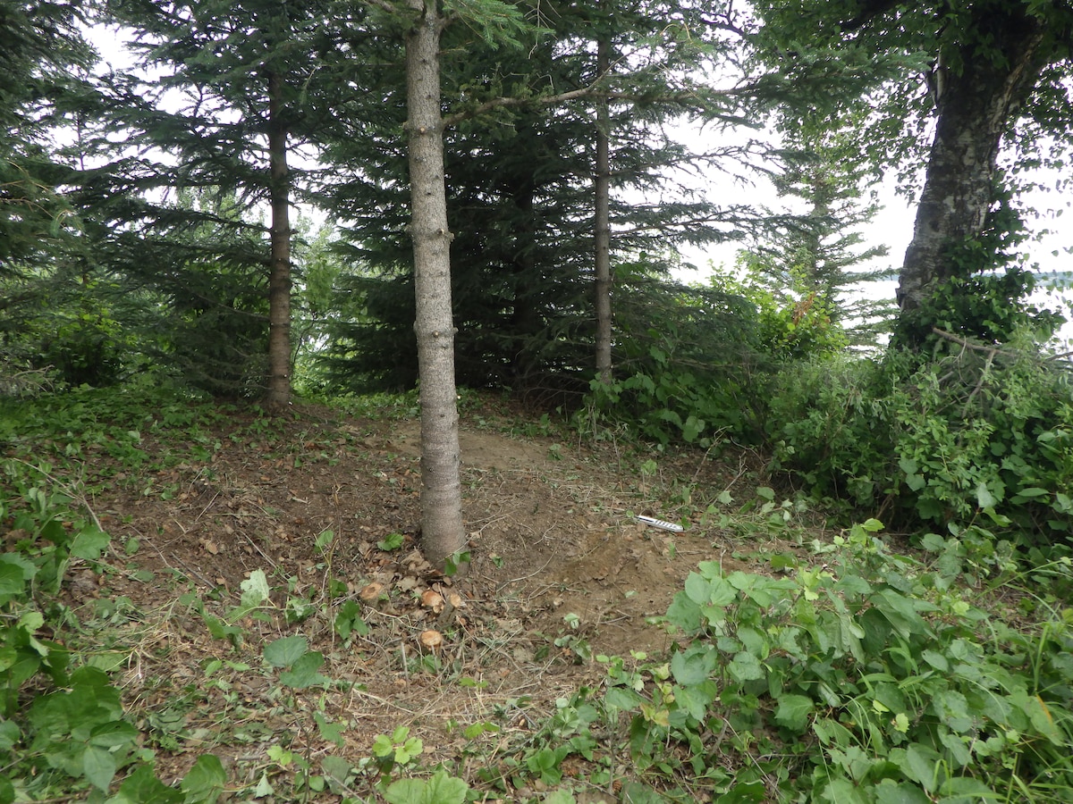 Archaeologists from Joint Base Elmendorf-Richardson, Northern Land Use Research Alaska, and area tribal councils encountered a birch bark-lined cache at a known Dene site along Upper Cook Inlet in June of 2024.