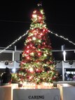 Spreading Holiday Hope and Cheer