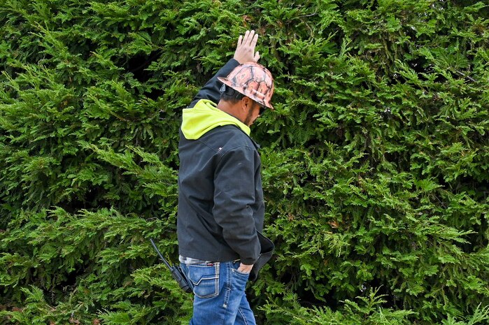 Michael Davis, 9th Civil Engineer Squadron high voltage electrician, reaches out toward a large tree on Beale Air Force Base, California, Nov. 18, 2024.