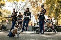 U.S. Marine Corps Lance Cpl. Bruno, the Marine Corps Recruit Depot San Diego and Western Recruiting Region mascot, poses for a photo in front of Marine Band San Diego while they perform at California State University, Northridge, California, Nov. 20, 2024. The Marine Band San Diego’s job is to provide ceremonial music, boost morale and participate in outreach work and attend events and ceremonies. (U.S. Marine Corps photo by Cpl. Sarah M. Grawcock)