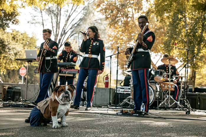 U.S. Marine Corps Lance Cpl. Bruno, the Marine Corps Recruit Depot San Diego and Western Recruiting Region mascot, poses for a photo in front of Marine Band San Diego while they perform at California State University, Northridge, California, Nov. 20, 2024. The Marine Band San Diego’s job is to provide ceremonial music, boost morale and participate in outreach work and attend events and ceremonies. (U.S. Marine Corps photo by Cpl. Sarah M. Grawcock)