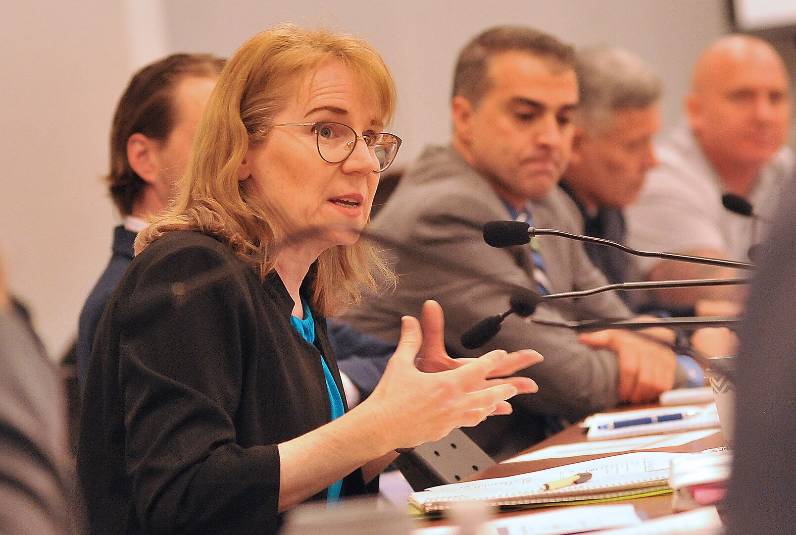 Marie O. Kokotajlo, manager, Overseas Humanitarian, Disaster and Civic Aid program for Defense Security Cooperation Agency speaks during a panel during a demining conference.