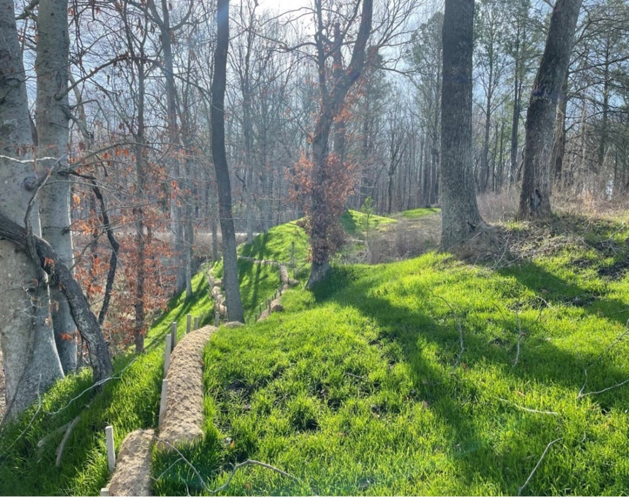 Vegetation growth