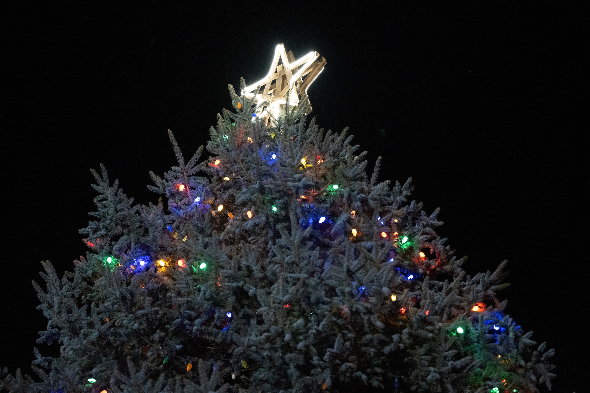 A Christmas tree has been decorated by lights wrapped around it and topped with a star.