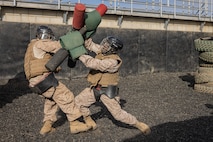 U.S. Marine Corps recruits with Fox Company, 2nd Recruit Training Battalion, execute pugil sticks during the Crucible at Marine Corps Base Camp Pendleton, California, Dec. 3, 2024. The Crucible is a 54-hour exercise where recruits apply the knowledge they learned throughout recruit training to earn the title United States Marine. (U.S. Marine Corps photo by Lance Cpl. Jacob B. Hutchinson)