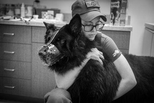 U.S. Air Force Staff Sgt. Tara Cummins, 87th Security Forces Squadron K-9 handler, calms military working dog A312 Zak, 87th SFS military working dog, during an appointment at the Joint Base McGuire-Dix-Lakehurst veterinary clinic at JB MDL, N.J., Oct. 3, 2024. Zak is receiving final care before retiring from the U.S. Air Force after six years of service. (U.S. Air Force photo by Jewaun McElroy)
