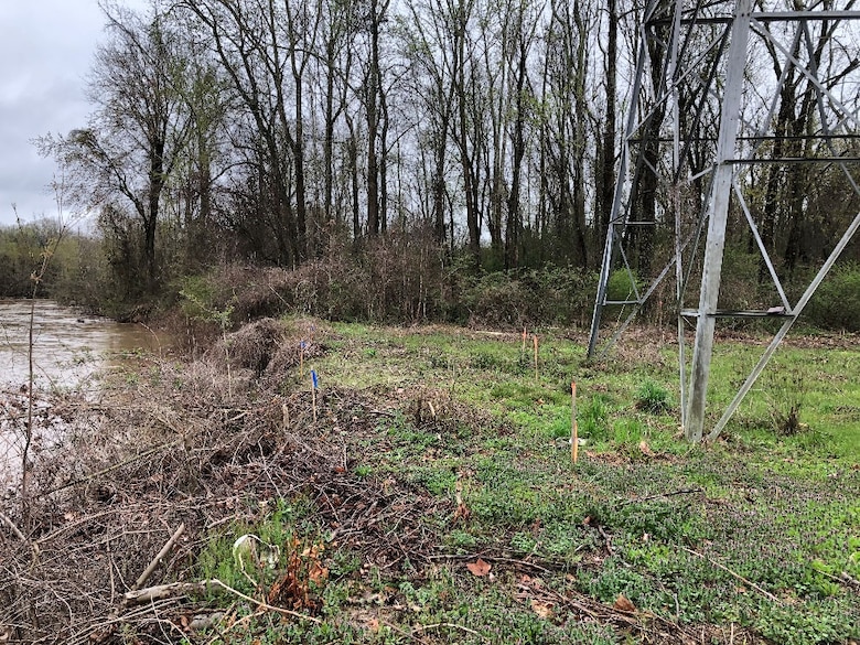 The MLGW Tower 1613 is located on the right descending bank of the Wolf River along an outer bend, making it prone to natural streambank erosion. 

This photo is a close up of streambank erosion adjacent to the tower. Erosion has encroached to within approximately 99 feet of the tower's foundation, causing it imminent danger of collapse into the Wolf River.