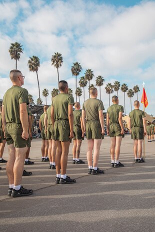 New U.S. Marines with Charlie Company, 1st Recruit Training Battalion, stand in formation after the company motivational run at Marine Corps Recruit Depot San Diego, California, Dec. 12, 2024. The company motivational run is a three-mile cadence run conducted around the Depot, the last physical training event the Marines will conduct before they graduate from MCRD San Diego and the first time their friends and families will see their newly transformed U.S. Marines. (U.S. Marine Corps photo by Cpl. Alexandra M. Earl)