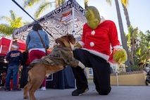 U.S. Marine Corps Lance Cpl. Bruno, the Marine Corps Recruit Depot San Diego and the Western Recruiting Region mascot, meets the Grinch at the Holiday Express event at Marine Corps Recruit Depot San Diego, California, Dec. 7, 2024. The Holiday Express is an annual event held at the Depot to bring holiday cheer to Marines, civilian employees and their families with crafts, music, opportunity drawings and more. (U.S. Marine Corps photo by Cpl. Alexander O. Devereux)