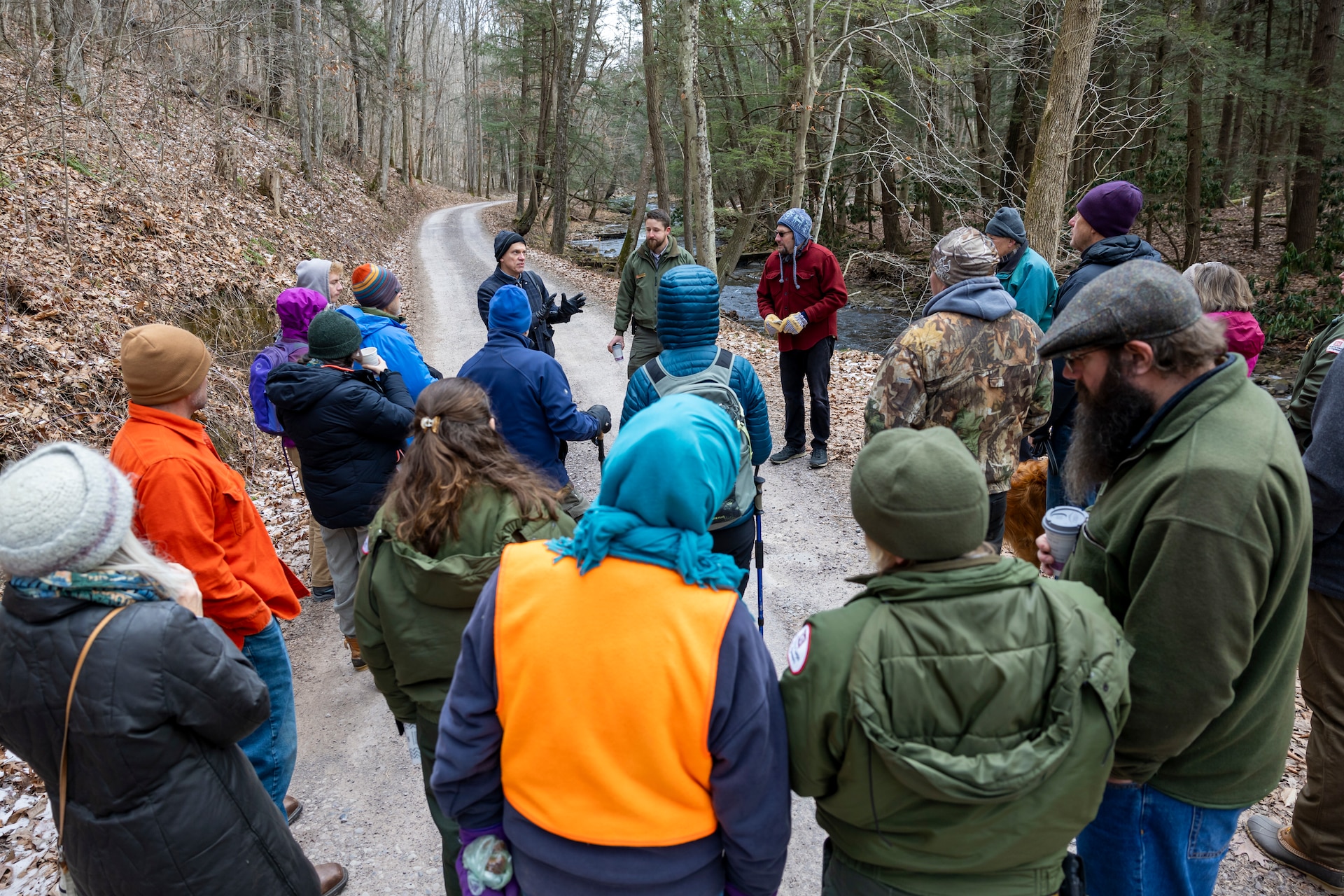 Park rangers at Youghiogheny River Lake discover two old-growth forests.