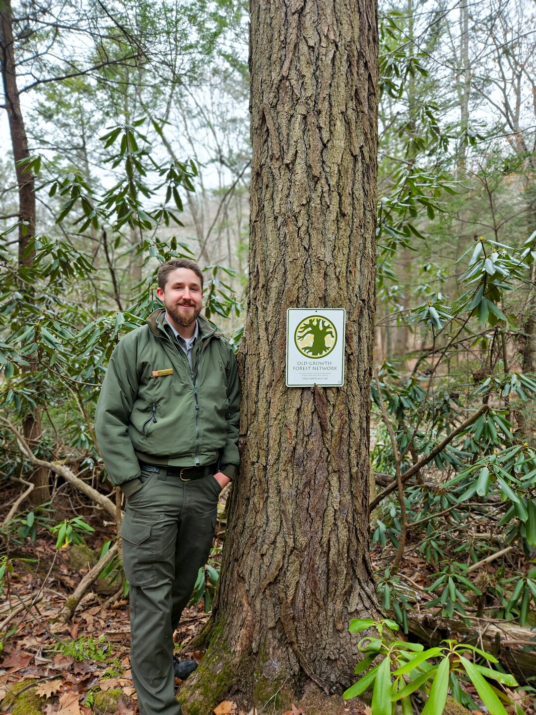 Park rangers at Youghiogheny River Lake discover two old-growth forests.