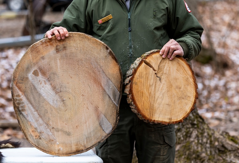 Park rangers at Youghiogheny River Lake discover two old-growth forests.