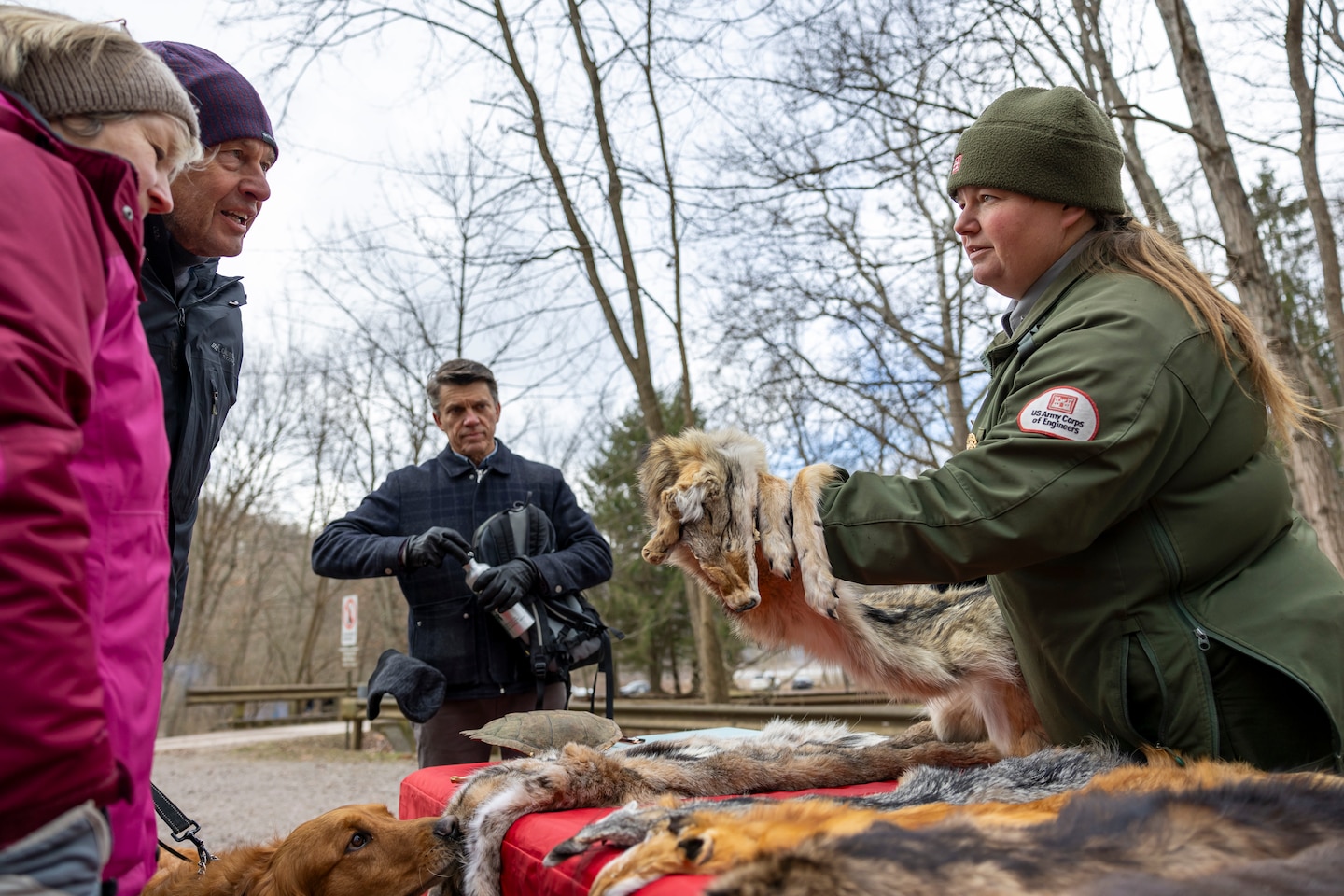 Park rangers at Youghiogheny River Lake discover two old-growth forests.