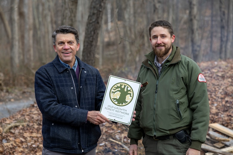 Park rangers at Youghiogheny River Lake discover two old-growth forests.