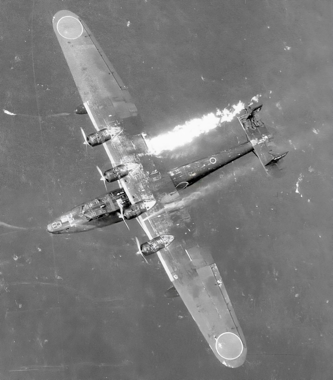 A VB-109 crew, with Lt. John Keeling in control, caught this Mavis on May 7, 1944, and shot it down near the Caroline Islands. The U.S. Navy gunners quickly set the enemy flying boat on fire. As the photo shows the Mavis without any defensive positions, it is probably an unarmed H6K4-1 transport. In all, five Mavis Type 97s and 10 Type 2 Emilys were shot down by PB4Y crews during 1943-1945.