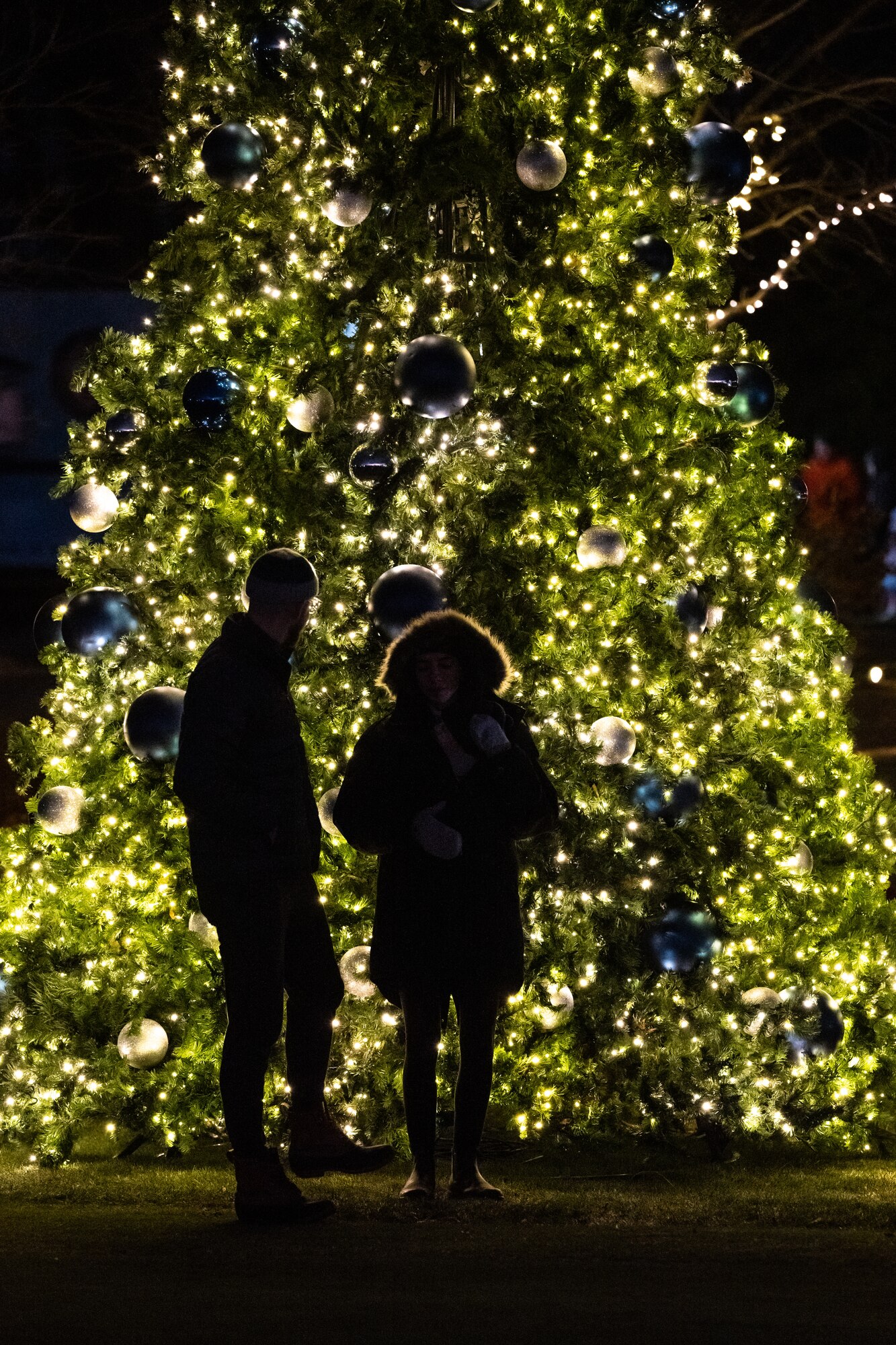 A man and woman silhouetted in front of a yellow lit Holiday tree in the dark