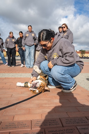 U.S. Marine Corps Mascot of Marine Corps Recruit Depot San Diego and the Western Recruiting Region, Lance Cpl. Bruno, meets the students with John F. Kennedy High School's Marine Corps Junior ROTC program at Marine Corps Recruit Depot San Diego, Dec. 12, 2024. The mascot’s job is to boost morale, participate in outreach work and attend events and ceremonies. (U.S. Marine Corps photo by Cpl. Francisco Angel)