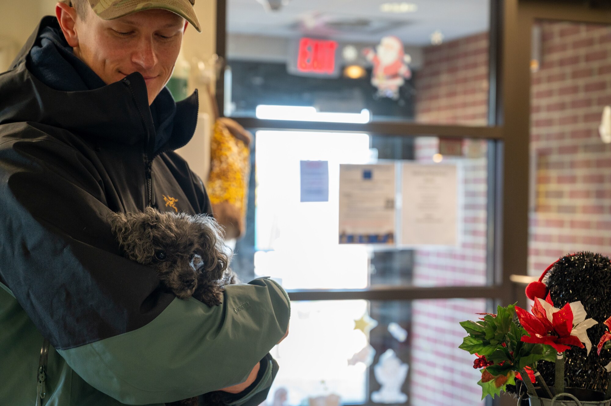 A man holds a small gray dog.