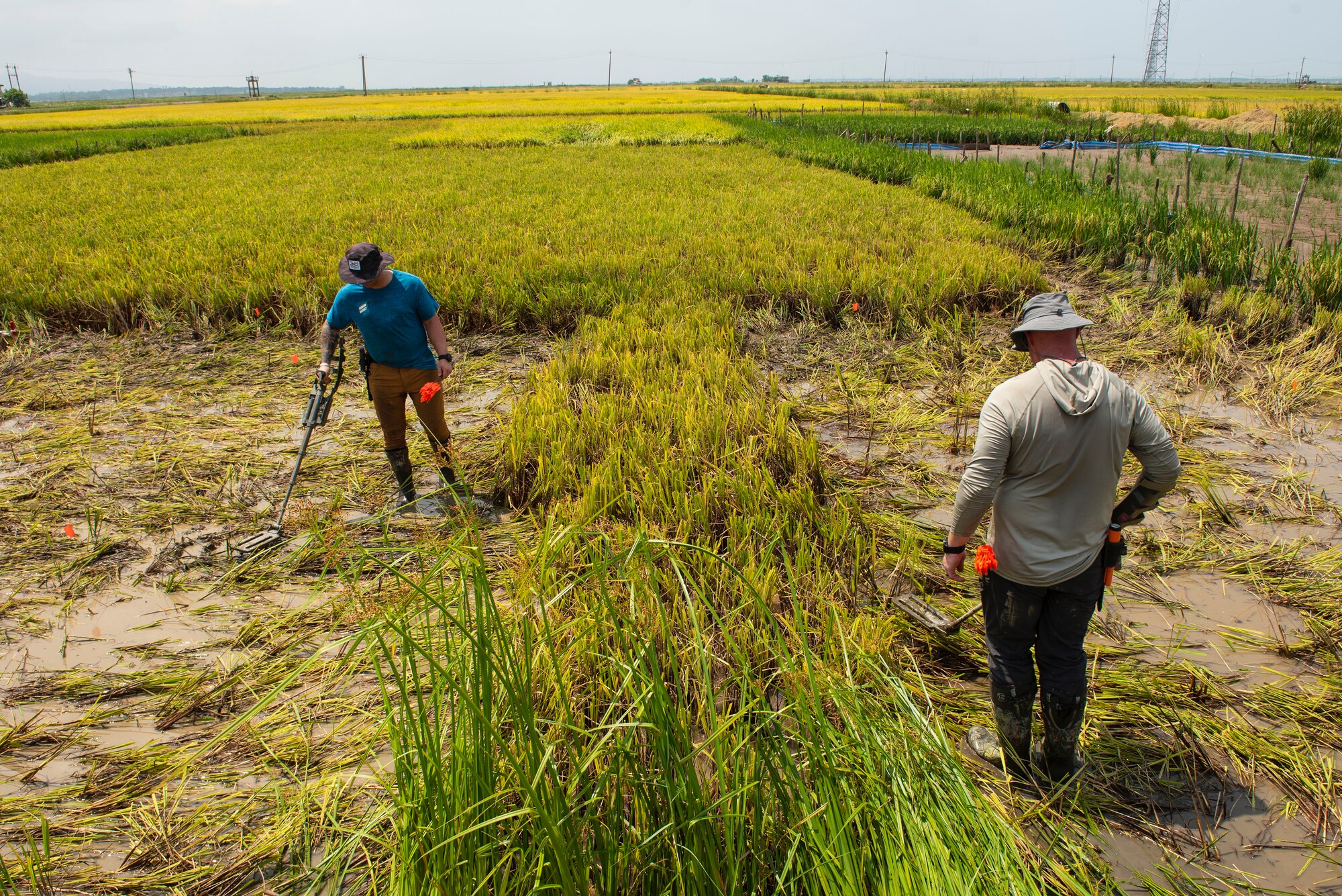 Master Sgt. Dustin Turner, right, an explosive ordnance disposal technician assigned to the Kentucky Air National Guard’s 123rd Civil Engineer Squadron, and another Airman search for unexploded ordnance in a rice paddy in Quang Binh Province, Vietnam, in June 2023. Turner was part of a U.S.-led team that recovered the remains of two Marine Corps pilots who were lost in combat over Vietnam in December 1972. (Courtesy photo)