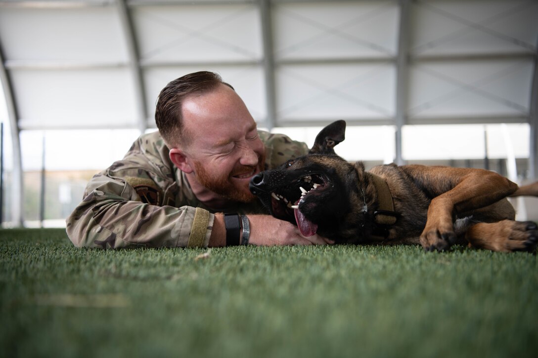 Dog and Airman